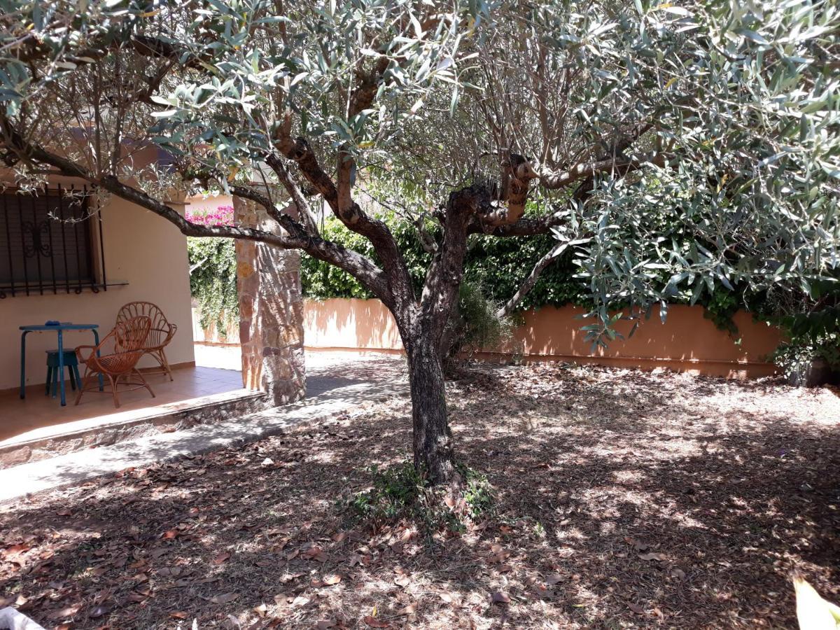 Casa Amb Gran Jardi A Vilauer-Costa Brava - Alt Emporda Vilaur Exterior foto