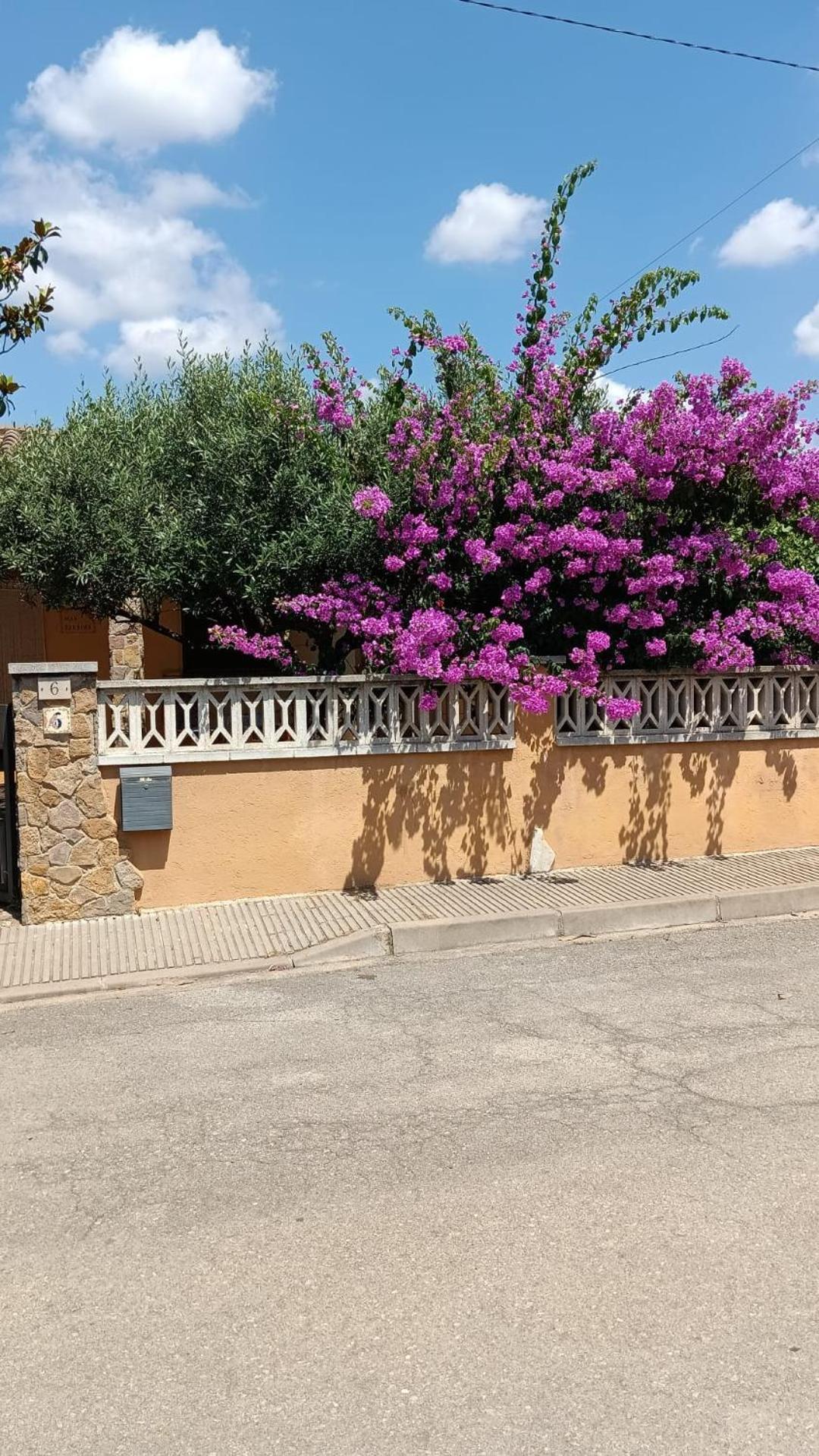 Casa Amb Gran Jardi A Vilauer-Costa Brava - Alt Emporda Vilaur Exterior foto